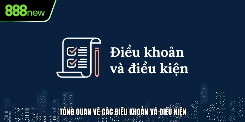 Tổng quan cơ bản về các điều khoản và điều kiện