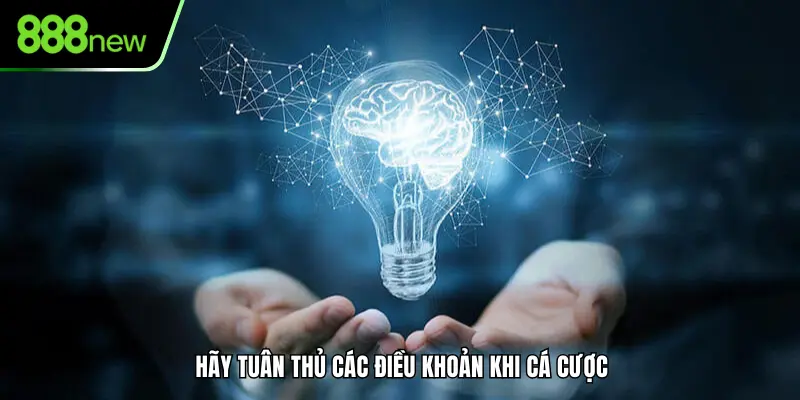 Thực hiện các tốt các điều khoản và điều kiện