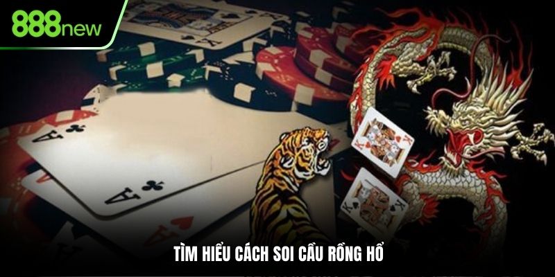 Tìm hiểu cách soi cầu Rồng Hổ
