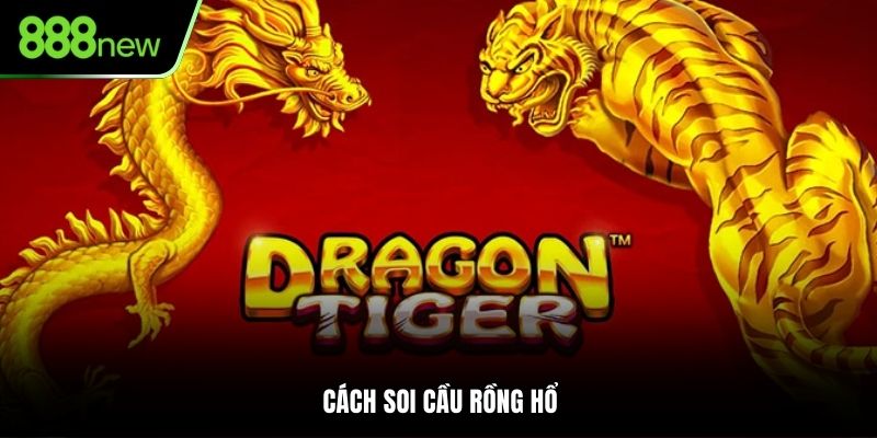 cách soi cầu rồng rổ