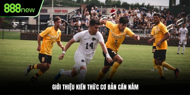 Kiến thức cơ bản cần nắm