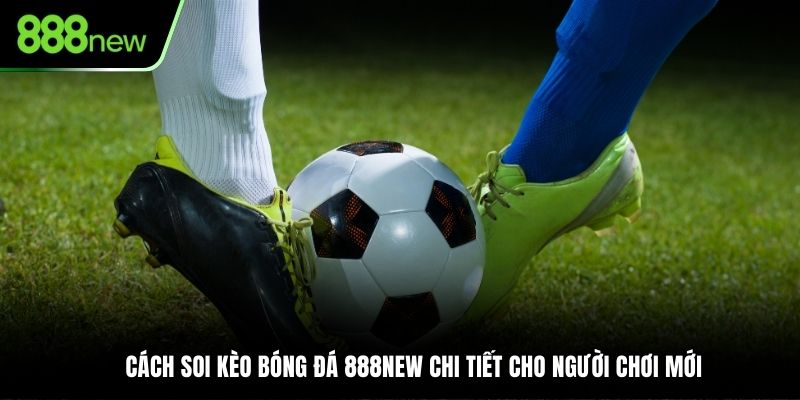 cách soi kèo bóng đá