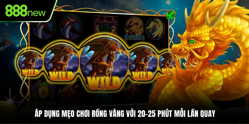 Áp dụng mẹo chơi Rồng Vàng với 20-25 phút mỗi lần quay